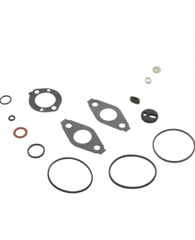 Kit de joints pour carburateur 797635 -Briggs & Stratton  