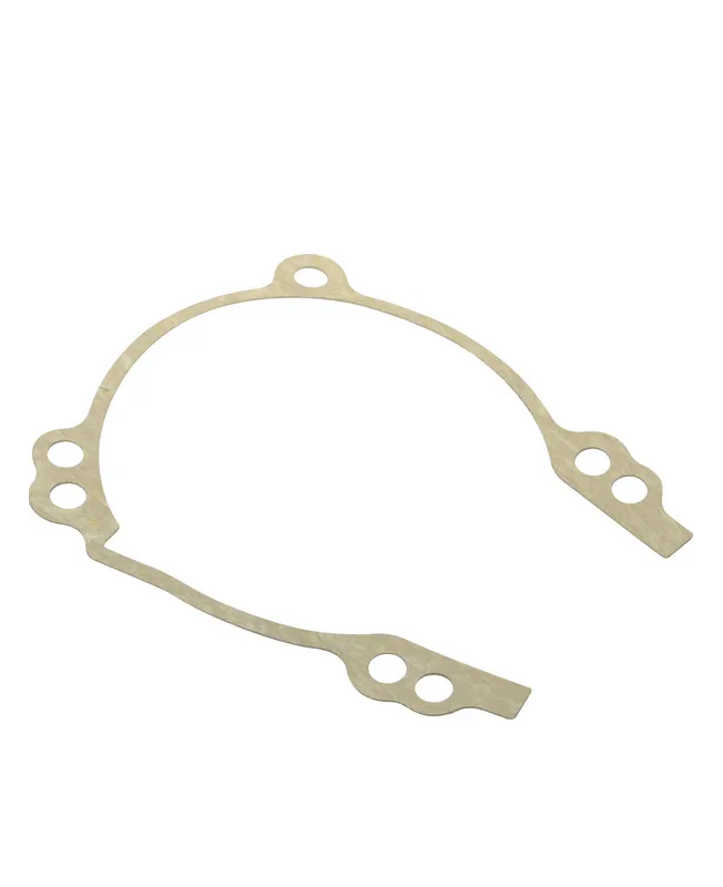 Joint de carter 800055 - Briggs & Stratton