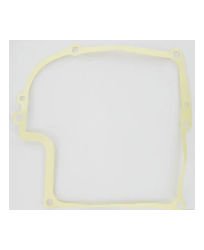 Joint de carter 27876 - Briggs & Stratton