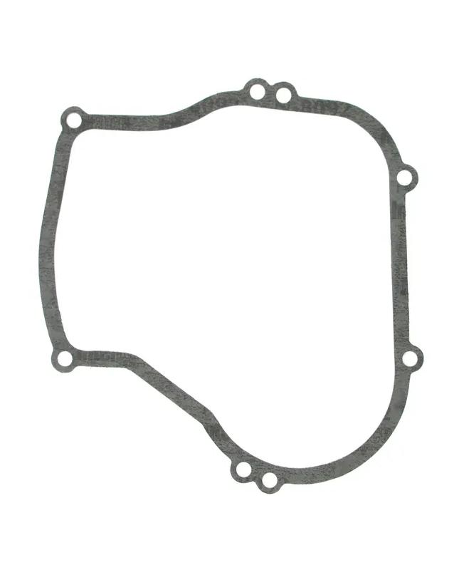 Joint de carter 270069 - Briggs & Stratton