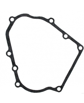 Joint de carter 711174 - Briggs & Stratton