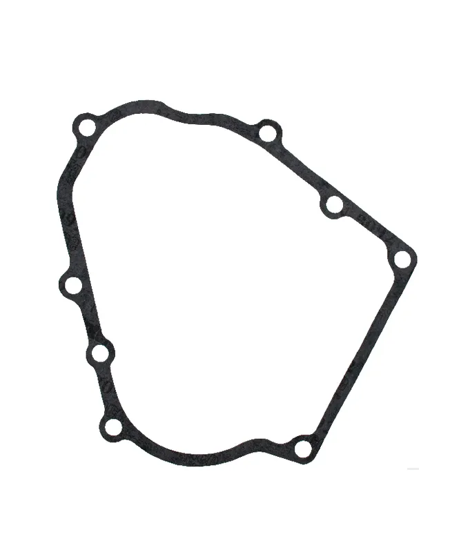 Joint de carter 711174 - Briggs & Stratton