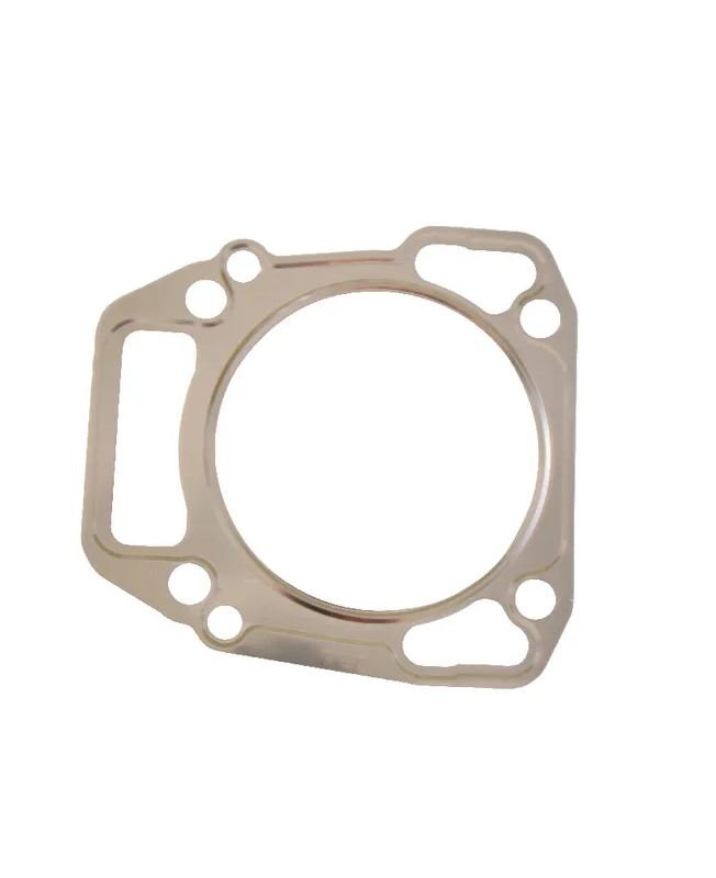 Joint de carter 710539 - Briggs & Stratton