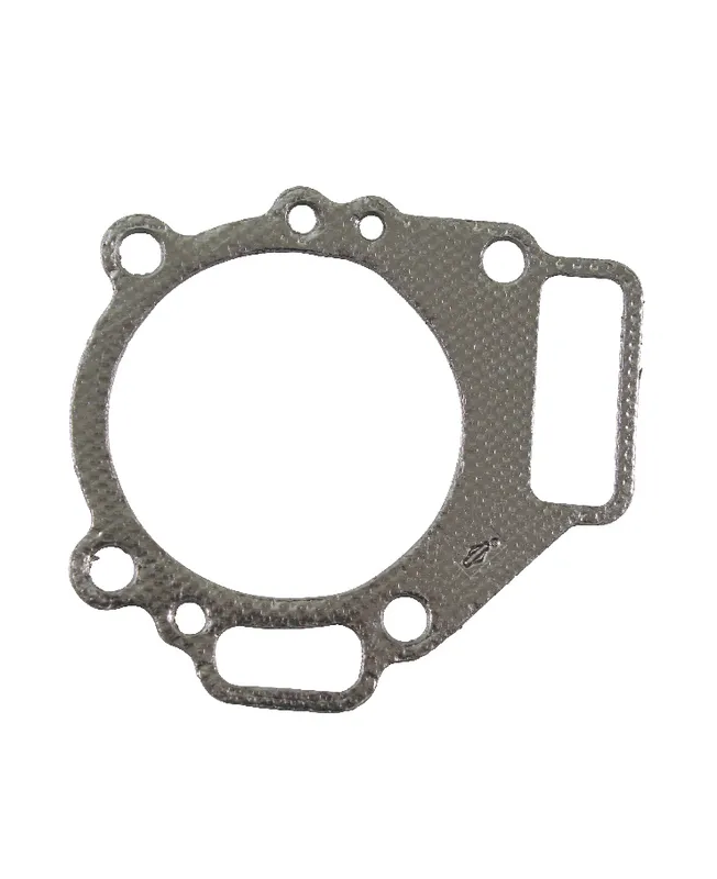 Joint de carter 272126 - Briggs & Stratton