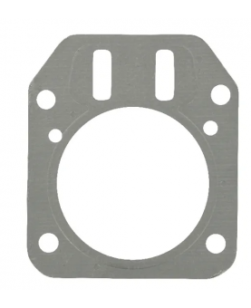 Joint de carter 791716 - Briggs & Stratton