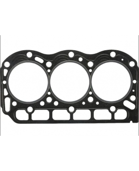 Joint de carter 820660 - Briggs & Stratton