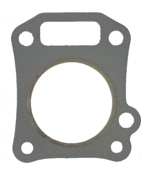 Joint de carter 710624 - Briggs & Stratton