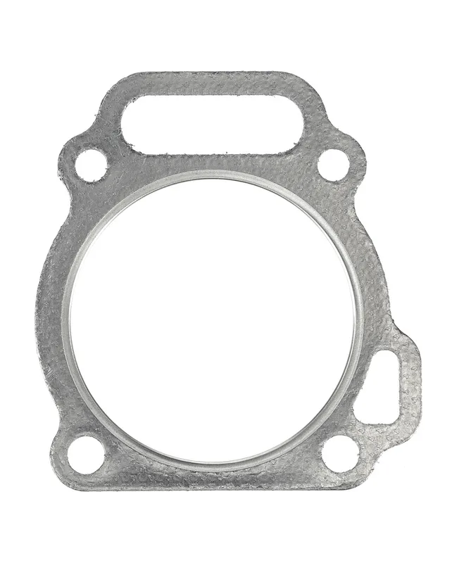 Joint de carter 799534 - Briggs & Stratton