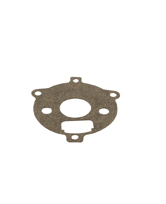 Joint de flotteur 27918 - Briggs & Stratton Joint de flotteur 27918 - Briggs & Stratton