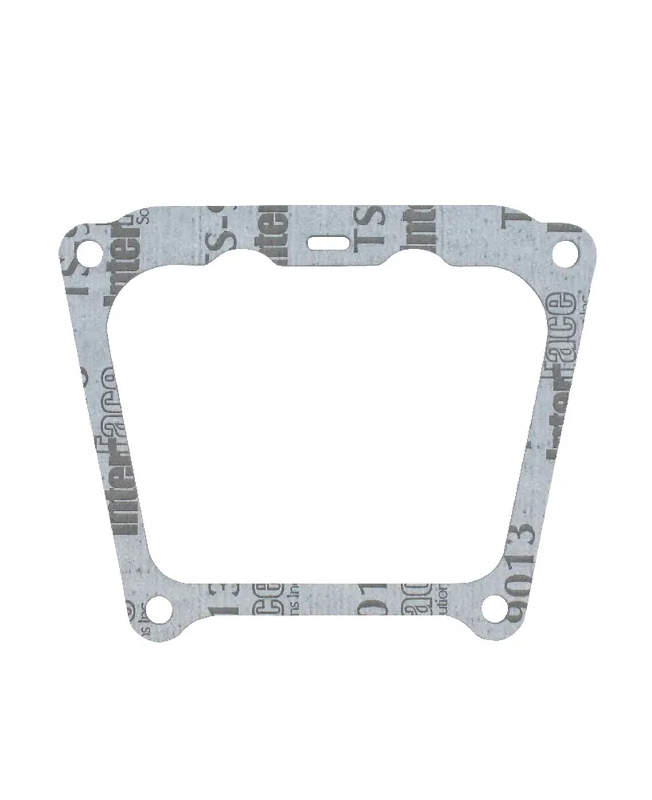 Joint de cache-soupape- 710377 Briggs & Stratton Joint de cache-soupape- 710377 Briggs & Stratton