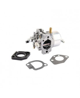 Carburateurs Briggs & Stratton 491912WM 