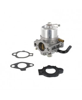 Carburateurs Briggs & Stratton 492256