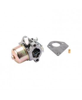 Carburateurs Briggs & Stratton 495782