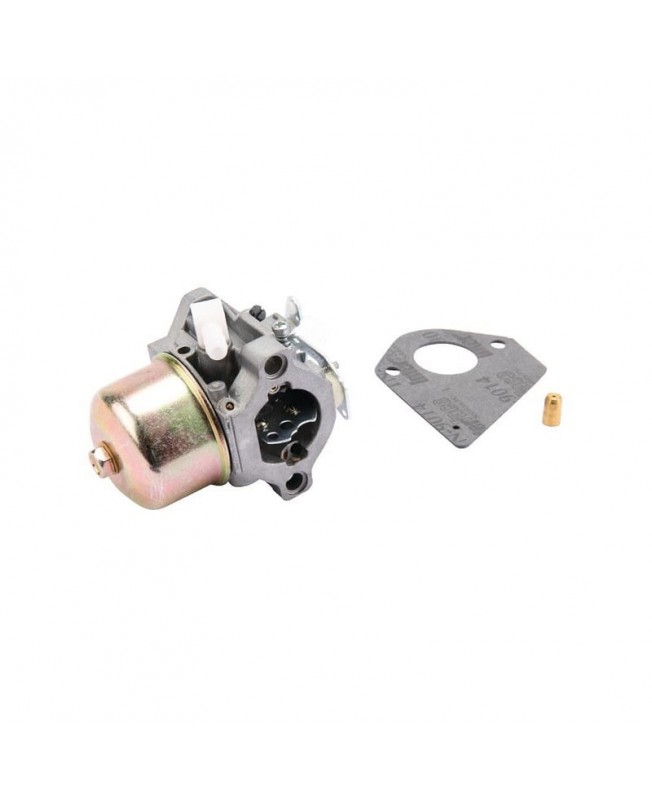 Carburateurs Briggs & Stratton 495782