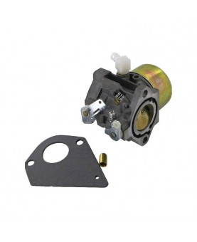 Carburateurs Briggs & Stratton 495784