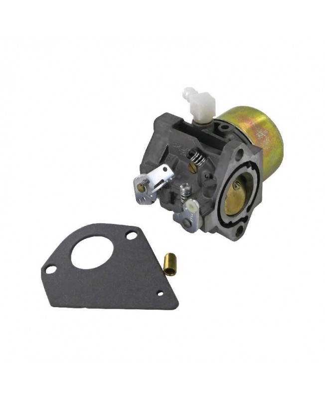 Carburateurs Briggs & Stratton 495784