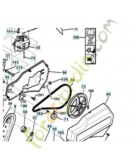 courroie 519653058. Pièce de rechange Husqvarna
