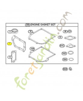 698717 Joint culasse  Briggs & Stratton