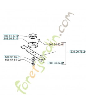 Pion de securite