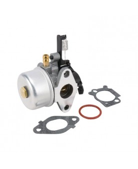Carburateurs Briggs & Stratton 591137