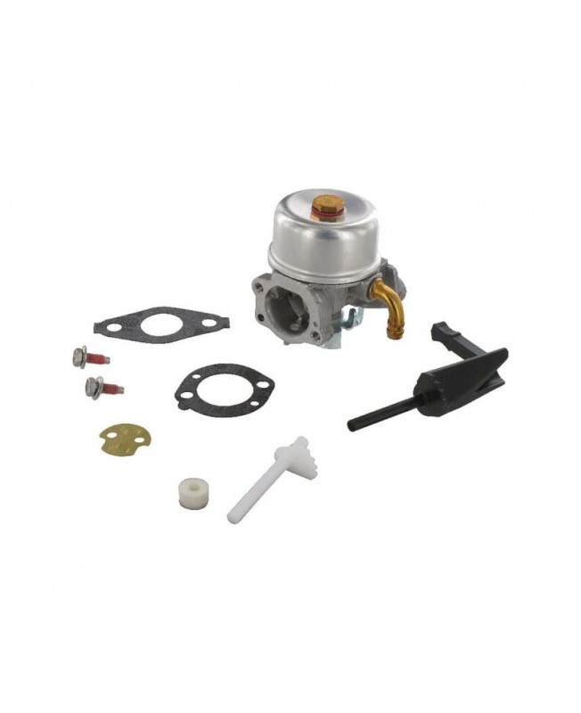 Carburateurs Briggs & Stratton 591299