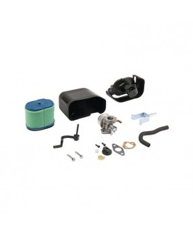 Carburateurs Briggs & Stratton 592679