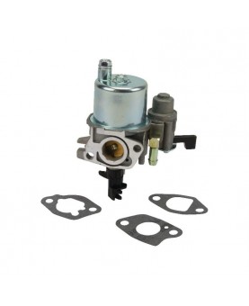 Carburateurs Briggs & Stratton 593351
