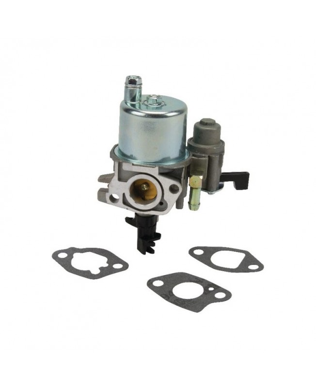 Carburateurs Briggs & Stratton 593351