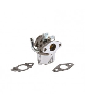 Carburateurs Briggs & Stratton 593357