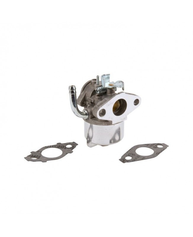 Carburateurs Briggs & Stratton 593357