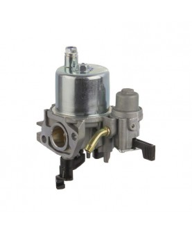 Carburateurs Briggs & Stratton 595776 