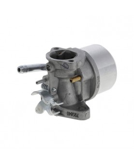 Carburateurs Briggs & Stratton 594014