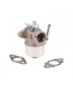 Carburateurs Briggs & Stratton 594015