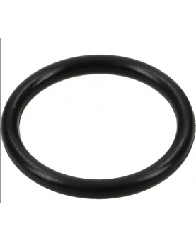 Joint torique 698550  Briggs & Stratton