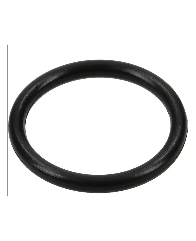 Joint torique 698550 Briggs & Stratton Joint torique 698550 Briggs & Stratton