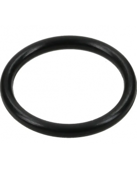 Joint torique 690681  Briggs & Stratton