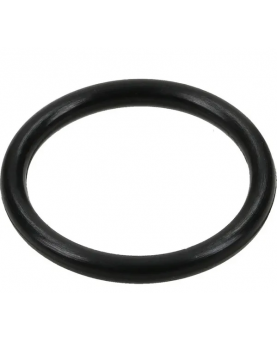Joint torique 691606  Briggs & Stratton