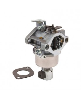 Carburateurs Briggs & Stratton 594605