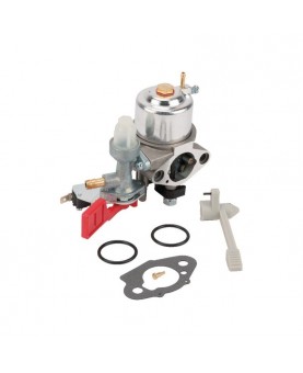 Carburateurs Briggs & Stratton 595318