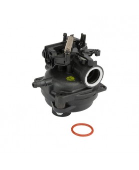 Carburateurs Briggs & Stratton 595489