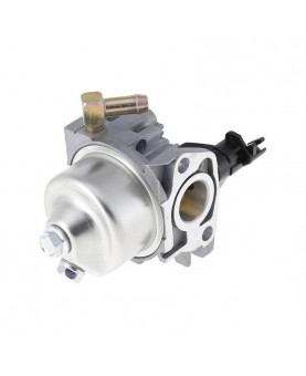 Carburateurs Briggs & Stratton 595778