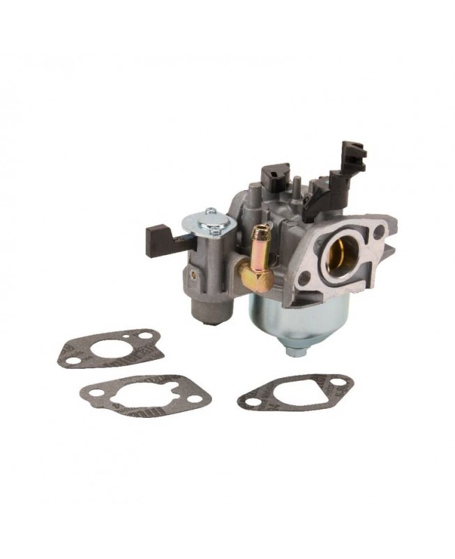 Carburateurs Briggs & Stratton 596079