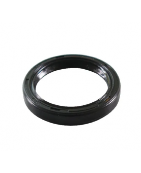 Joint torique 491500 Briggs & Stratton
