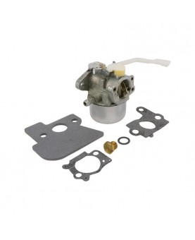 Carburateurs Briggs & Stratton 694203