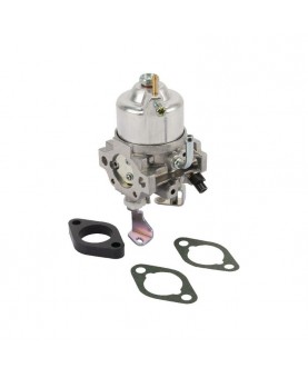 Carburateurs Briggs & Stratton 715175