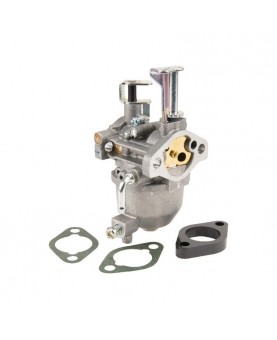 Carburateurs Briggs & Stratton 715473