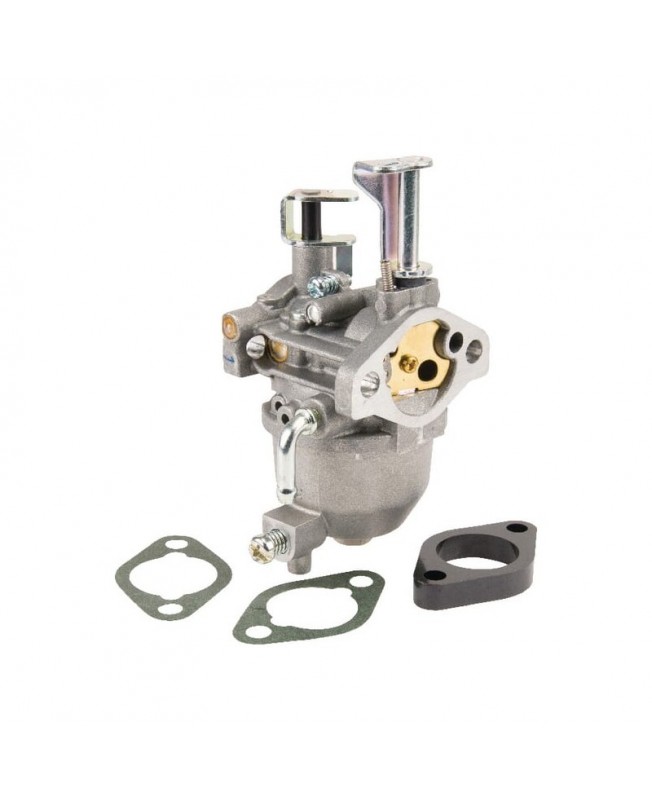 Carburateurs Briggs & Stratton 715473