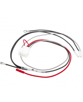 Faisceau de câbles  796860 Briggs & Stratton