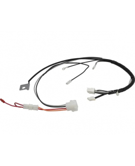 Faisceau de câbles  597204 Briggs & Stratton