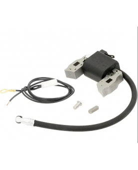 Bobine d'allumage 397358 Briggs & Stratton
